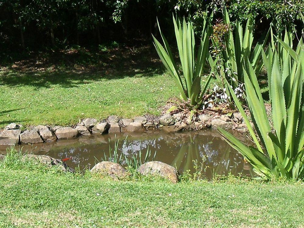 Whangarei Holiday Houses Bagian luar foto